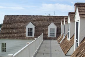 Cedar Roof soft washing in Trappe