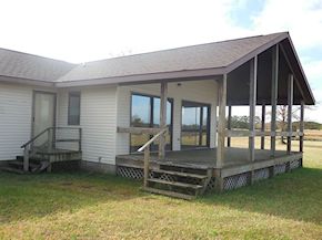 deck in need of cleaning