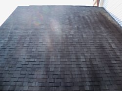 maryland no pressure roof cleaning