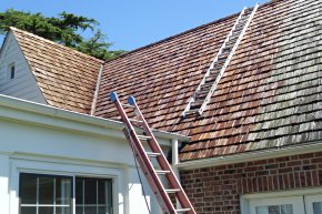 Cedar Roof cleaning in Trappe