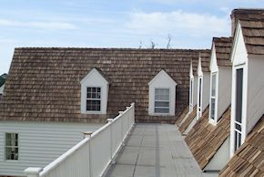 Cedar Roof in Trappe cleaned