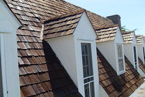 Cedar Roof cleaning in Trappe